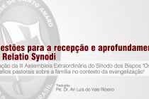 Questões para a recepção e aprofundamento da Relatio Synodi