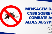 CNBB divulga mensagem sobre o combate ao Aedes Aegypti