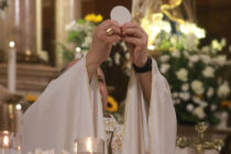 Dom José celebra a Santa Missa de Páscoa na Catedral de Santo Amaro